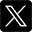 X Icon